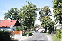 Pohled na silnici vedoucí vesnicí mezi domy stojícími v zahradách. Vozovku zakrývají vzrostlé listnaté stromy.