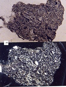 A felsic volcanic lithic fragment, as seen in a petrographic microscope. Scale box is in millimeters. LvMS-Lvg.jpg