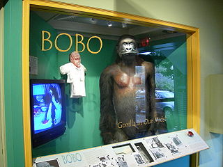 <span class="mw-page-title-main">Bobo (gorilla)</span> Zoo gorilla