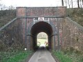 A brick barrel-arch tunnel through a tall section of railway embankment near East Tisted.