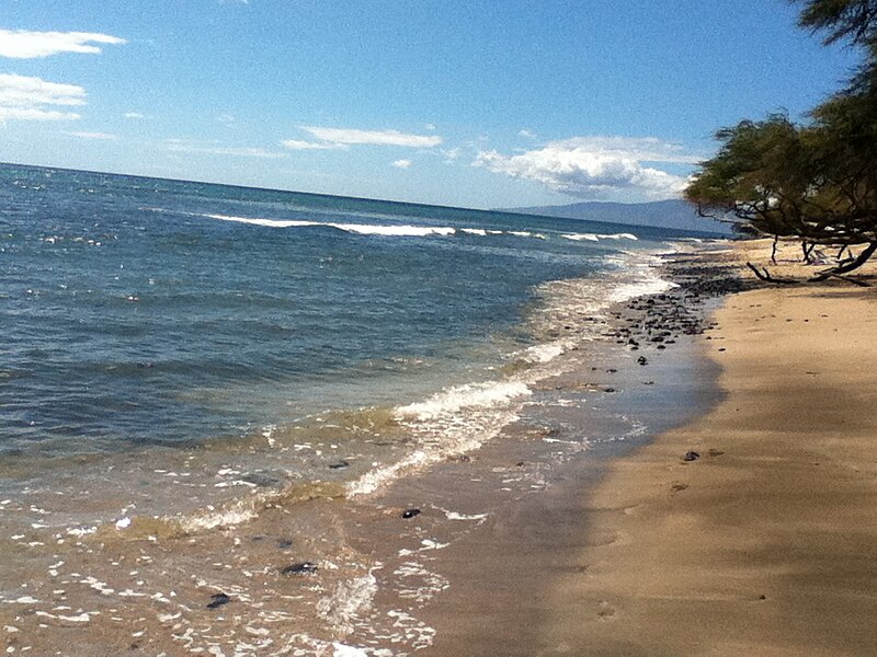 File:Maalaea Coral Gardens looking north.jpg