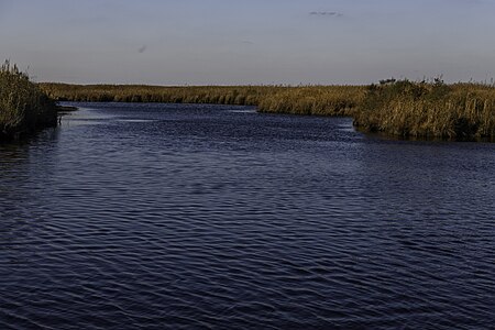 Mackay Island Wildlife Refuge