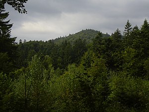 View of the summit