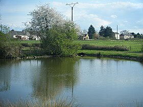 Champlin (Nièvre)