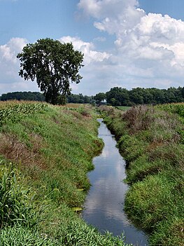 Yellow River in rural Indiana, USA. Rivers and streams of this size are often referred to as "creeks." Marshall-county-indiana-yellow-river.jpg