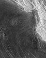 Imagen SAR tomada por la sonda Magallanes de Skadi Mons en Maxwell Montes,Venus