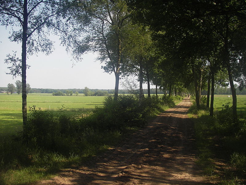 File:Meerven.jpg