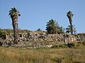 Megiddo archaeological site, Israel.