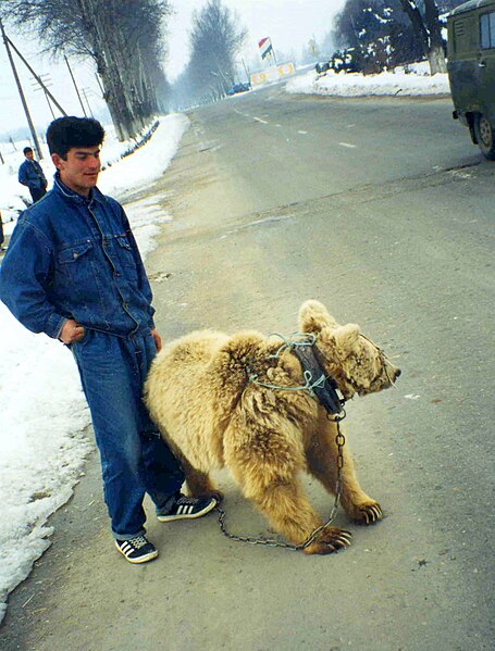 File:Men of Tajikistan (5).jpg