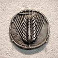 Metapontion - 540-510 BC - silver stater - barley ear - Berlin MK AM 18203391