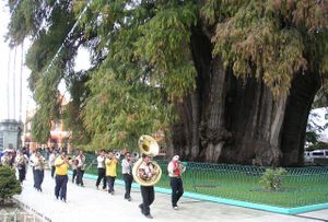 État Oaxaca: Toponymie, Histoire, Culture