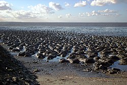 71. Platz: Lutz Rahlke (Friesenfoto) Neu! mit Tide im Nationalpark Niedersächsisches Wattenmeer