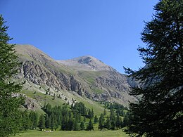 Mont Pelat 6.jpg