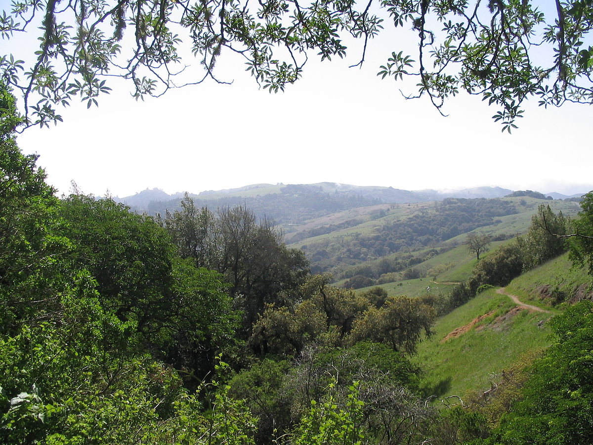 Monte Bello Open Space Preserve - Wikipedia