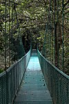 Supsension Bridge in Selvatura Park, Costa Rica