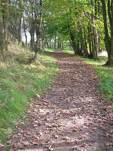 File:Montgreenancarriageway.JPG