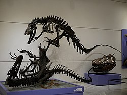 NJSM Dryptosaurus.jpg