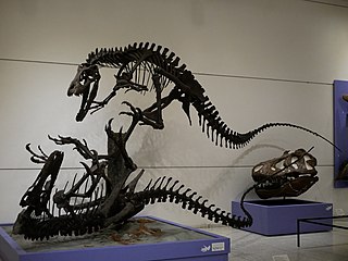 <i>Dryptosaurus</i> Extinct genus of dinosaurs