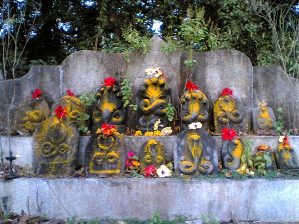 Nagabana: The Nāga deities are worshipped in sacred groves