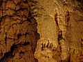 Water on calcite shimmers in the cave's lighting.