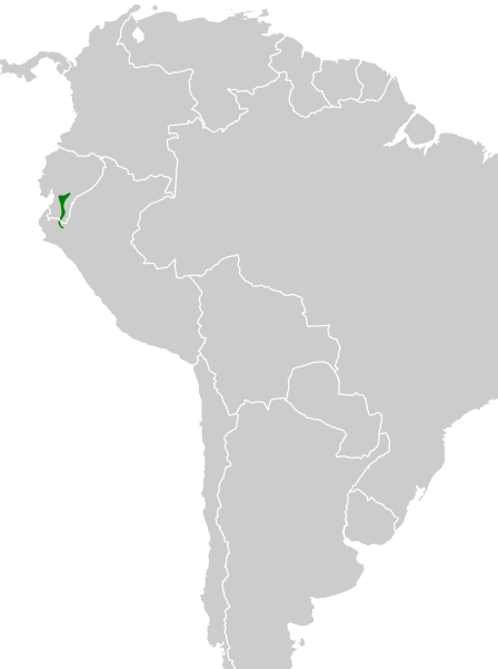 File:Nephelomyias lintoni map.svg