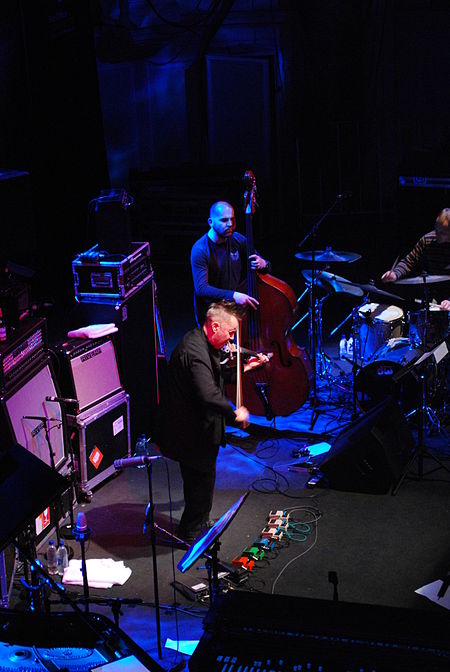 Nigel Kennedy 2009.jpg