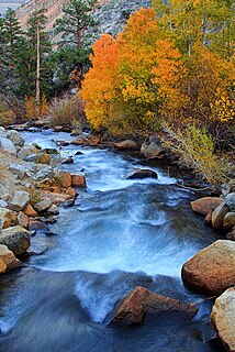 Bishop Creek (Inyo County) river in the United States of America