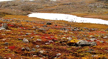 Tundra, Nunavut