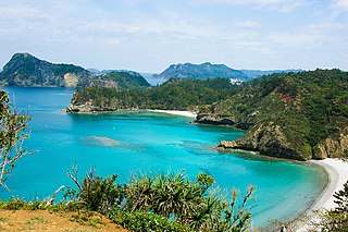 Ogasawara subtropical moist forests Ecoregion in the Ogasawara Islands, Japan