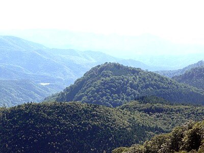 大森 (鹿角市・八幡平市)