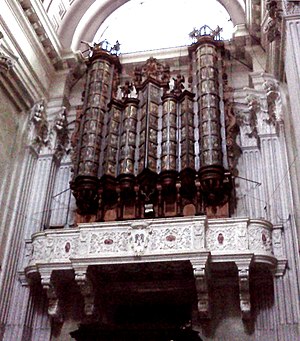 Organo Hermans Genova.jpg