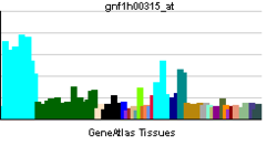 PBB GE NDUFA12 gnf1h00315 ĉe tn.png