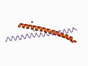 PDB 1ci6 EBI.jpg