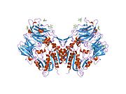 PDB 1j2e EBI.jpg