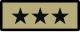 Lieutenant General/Vice Admiral