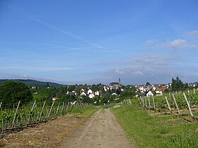 Weiler bei Bingen