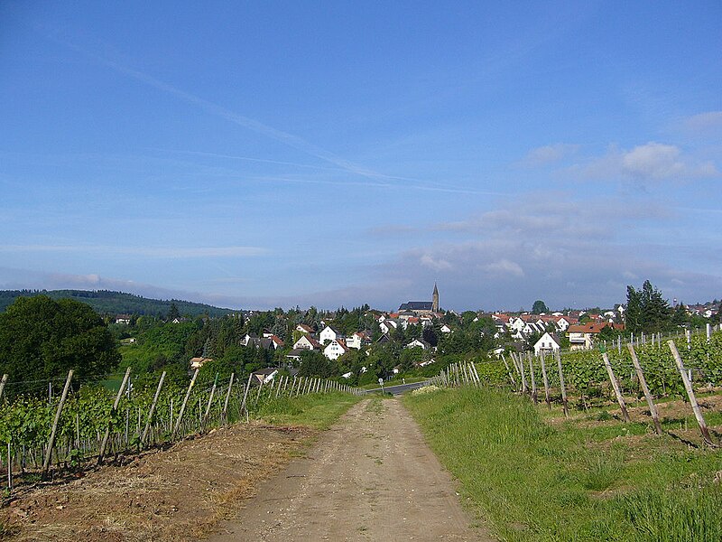 File:Panorama von Weiler bei Bingen.jpg