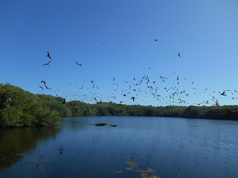 File:Parque Nacional Isla Contoy, Quintana Roo.jpg