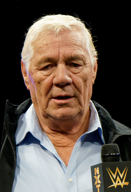 ไฟล์:Pat Patterson April 2014 crop.jpg