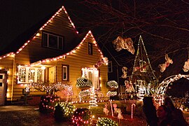 Lights on Peacock Lane