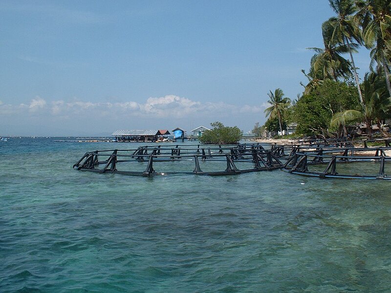 File:Pearl farm (Seram, Indonesia).jpg