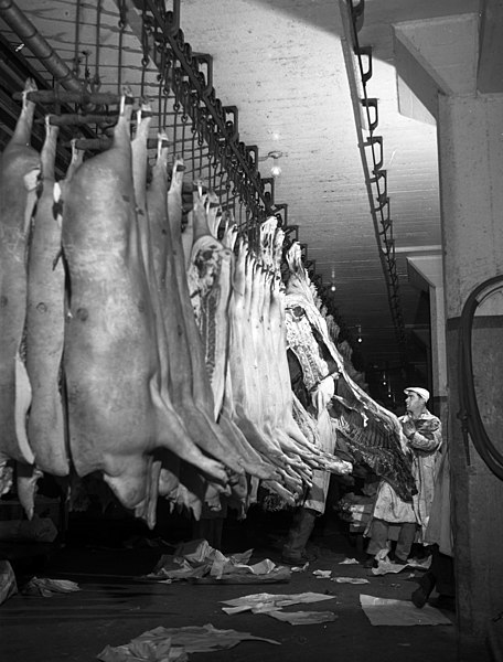 File:Pig carcasses in a Los Angeles meat packing plant.jpg