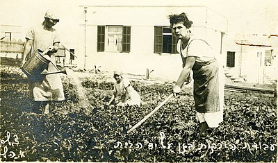 PikiWiki_Israel_6467_Growing_vegetables_by_the_house