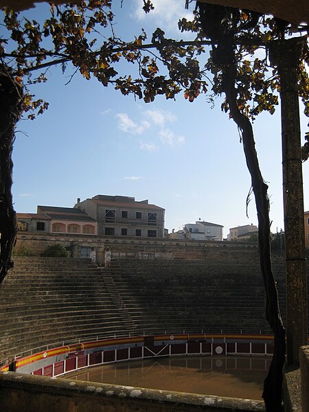 File:Plaza de toros de Muro. Vista desde palco a nivel de calle.JPG