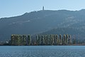* Nomination Poplar trees on the Blumeninsel ("Flower Island") and the Pyramid Ballon in the background, Poertschach am Woerther See, Carinthia, Austria --Johann Jaritz 03:11, 5 November 2015 (UTC) * Promotion Dustspot (see note) --Christian Ferrer 06:25, 5 November 2015 (UTC)  Done Thanks, Christian, for reviewing. You must have eagles` eyes. The spot is gone. --Johann Jaritz 07:17, 5 November 2015 (UTC) Support thank you :) --Christian Ferrer 12:12, 5 November 2015 (UTC)