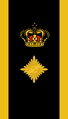 Danish National Police