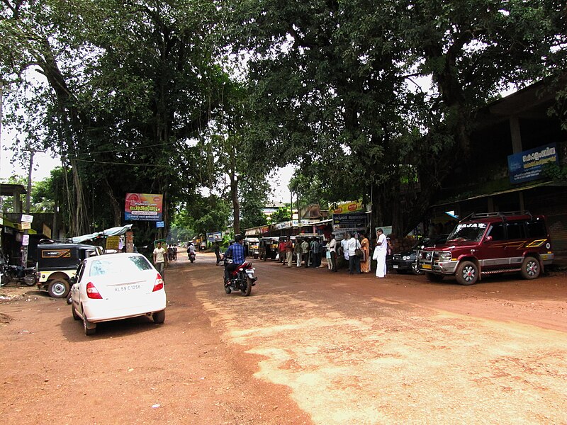 File:Poovam.jpg