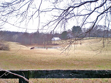 A Potomac horse farm