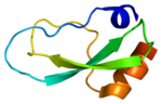 Vorschaubild für Kollagen-Typ 6α3