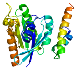 Protein GGA1 PDB 1j2j.png